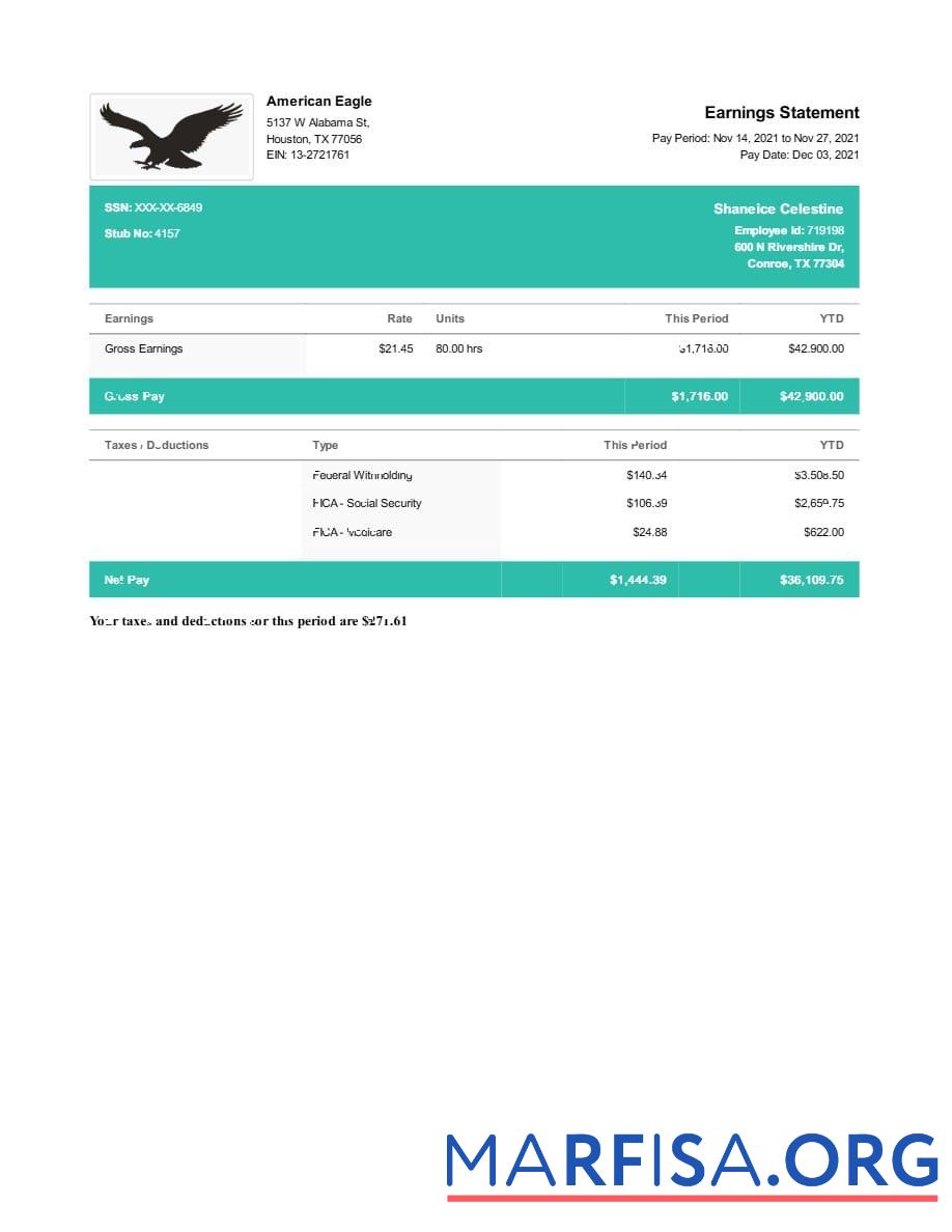 Printable American Eagle earnings statement example